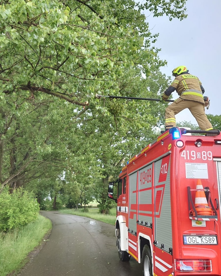 Wyjazd 20/2025 Dnia 26.05.2025 zostaliśmy zadysponowani przez dyżurnego KP PSP w Głubczycach do zwisającej gałęzi na drodze Dzierżysław-Lubotyń. Jednostki obecne na miejscu zdarzenia: OSP KSRG Dzierżysław 🚒 JRG Głubczyce 🚒 Policja 🚔.